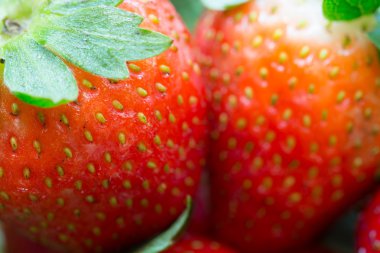 Makro atış taze çilek