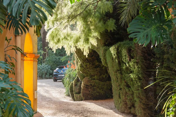 下午晚些时候 在地中海的一幢豪宅里 阳光灿烂 华丽的卵石墙 优雅的拱门 茂密的绿色树篱 — 图库照片