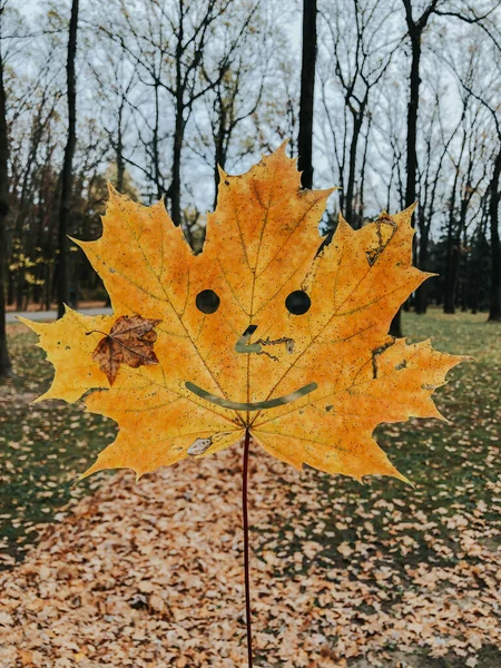 A bright yellow-orange maple leaf with carved eyes, a nose and a smile in the hand of a woman on a walk against the background of an autumn forest.