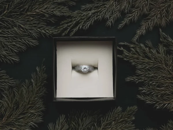 Jewelry Box Ring Frame Juniper Branches Beautiful Black Background Romantic — Stock Photo, Image