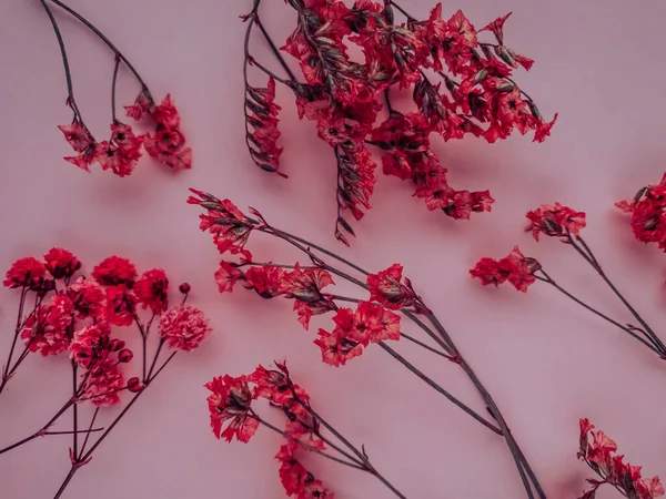 Квіткова Композиція Червоні Квіти Червоному Тлі Весна Літня Концепція Плоский — стокове фото