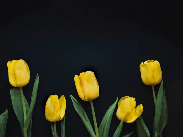 Çiçek kompozisyonu. Siyah arkaplanda sarı lalelerden yapılmış bir çerçeve. Sevgililer günü, anneler günü ve kadınlar günü konsepti. Düz yatış, üst görünüm.