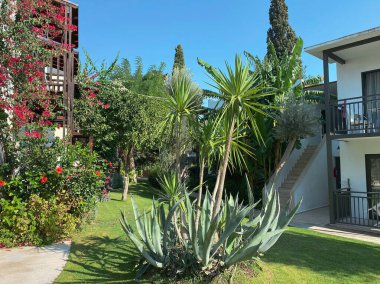 Otelin, inanılmaz güzel bir bahçesi, çiçek açan çalıları ve meyve ağaçları olan bir tatil köyü. Otelin bölgesindeki bina, dinlenme ve turizm konsepti..