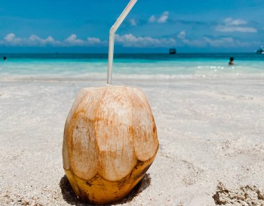 Kamışlı genç bir hindistan cevizi, beyaz kumların üzerinde, gök mavisi okyanusların ve mavi gökyüzünün arkaplanına karşı duruyor. Eğlence ve turizm konsepti.