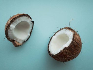 Hindistan cevizi ağacı meyveli hindistan cevizi mavi arka planda izole edilmiş ikiye bölünmüş.