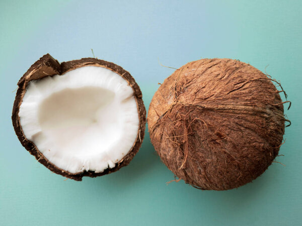 Coconut tree fruit coconut split into two halves isolated on blue backgroun