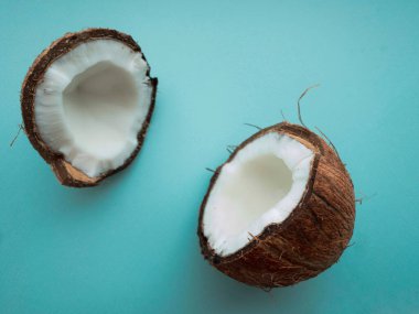 Hindistan cevizi ağacı meyveli hindistan cevizi mavi arka planda izole edilmiş ikiye bölünmüş.