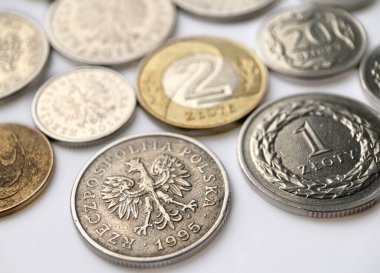 Beyaz arka planda Polonya zloti paraları. Fotoğrafçılığı kapat..