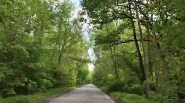 Açık bir günde, açık yeşil ağaçların arasında güzel manzaralı bir yol. Otomobil ve turizm kavramı.