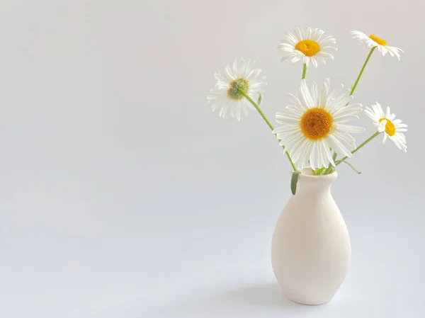 Flower Composition High Key Photography White Daisies Clay Vase White — Stock Photo, Image