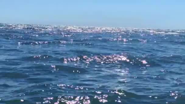 Emozionante acqua di mare sotto i raggi del sole in una luminosa giornata di sole caldo — Video Stock