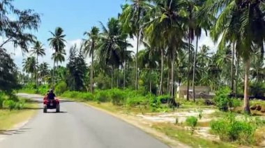 Güneşli bir günde, tropik bir adada, güzel uzun palmiyeler arasında bisiklet sürmek..