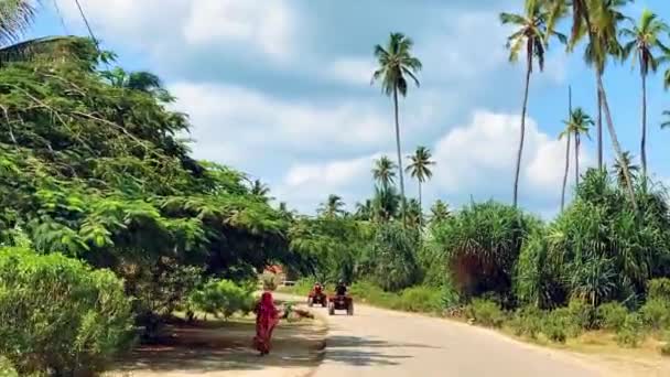 Négykerekű biciklizés egy trópusi szigeten gyönyörű magas tenyerek között egy napsütéses napon. — Stock videók