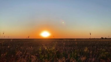 Bozkır çimlerinde gün batımı. Ufkun üstündeki gökyüzünü aydınlatan doğal bir fenomen.