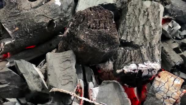 Großaufnahme von Kohlen für das Kochen im Grill. Camping, Wochenendzeit — Stockvideo