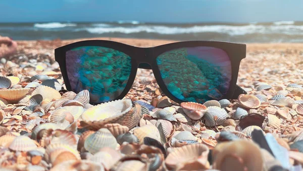 Patrón de concha de playa Gafas de sol redondasmujer Patrón de concha de playa Gafas de sol redondasmujer