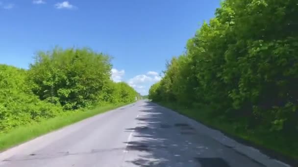 Un hermoso camino panorámico entre árboles verdes brillantes en la pista en un día claro. El concepto de viajes en automóvil y turismo — Vídeos de Stock