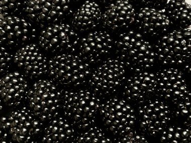 Çok sayıda böğürtlenin doku arkaplanı. Doğal böğürtlen