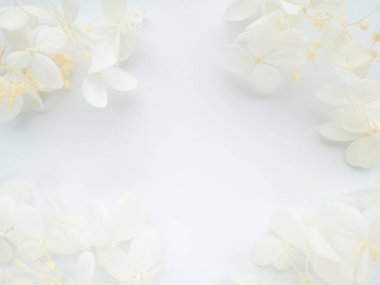 Çiçek kompozisyonu. Beyaz arka planda beyaz çiçek ortancalarından yapılmış bir çerçeve. Sevgililer Günü, Anneler Günü ve Kadınlar Günü konsepti