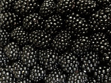 Çok sayıda böğürtlenin doku arkaplanı. Doğal böğürtlen