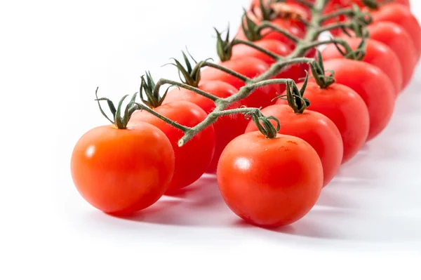 Tomates rojos con rama sobre blanco — Foto de Stock