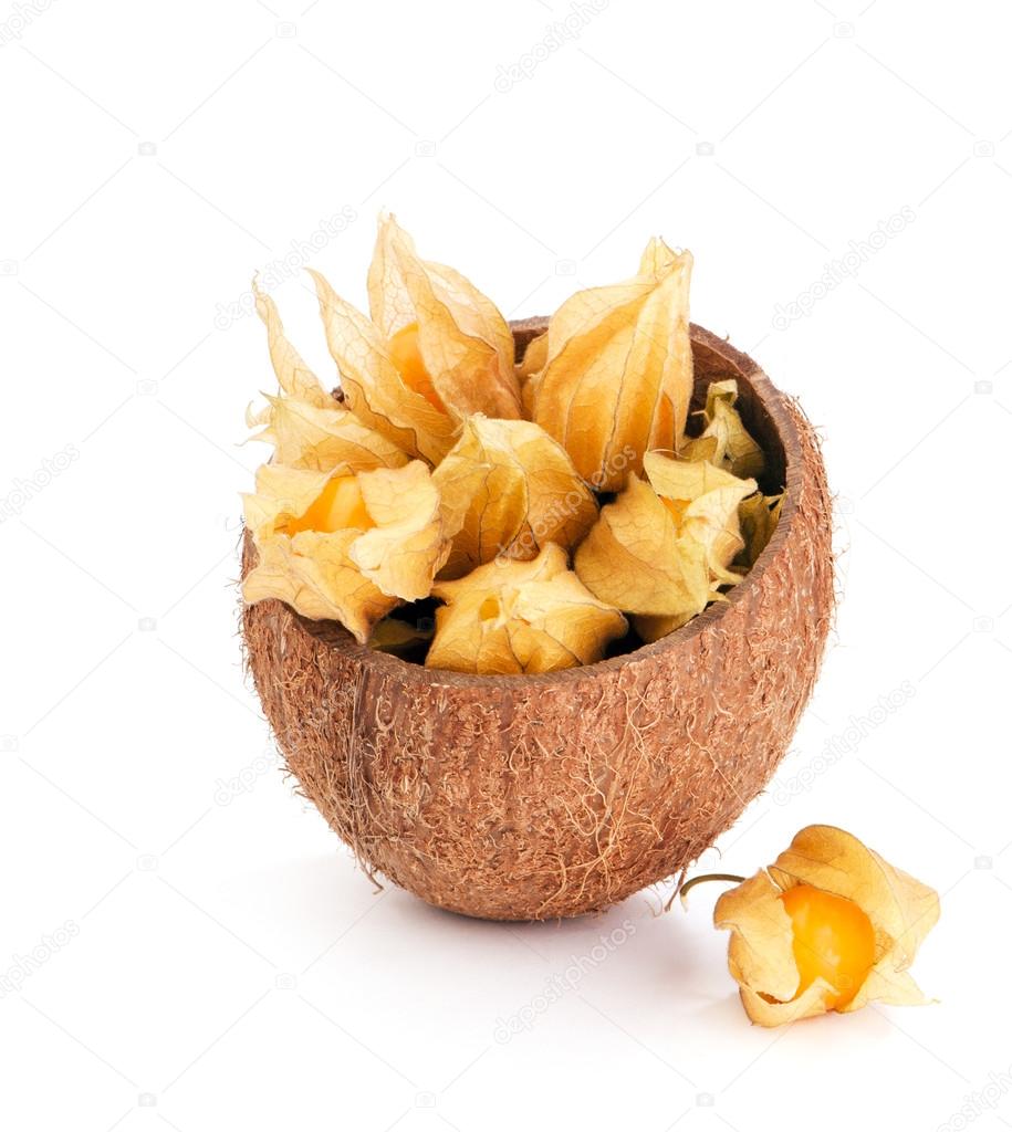 physalis berries inside coconut shell on white background