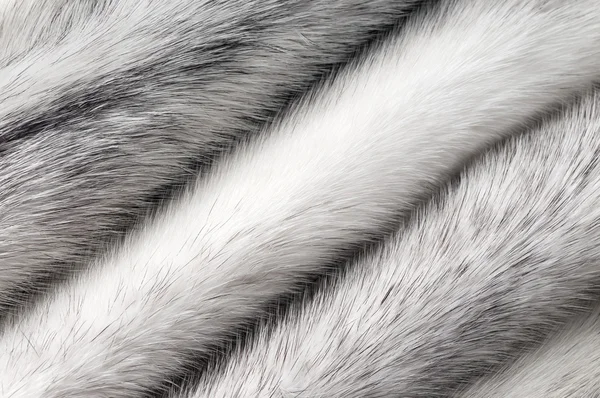 Серебряно-норковая текстура меха — стоковое фото