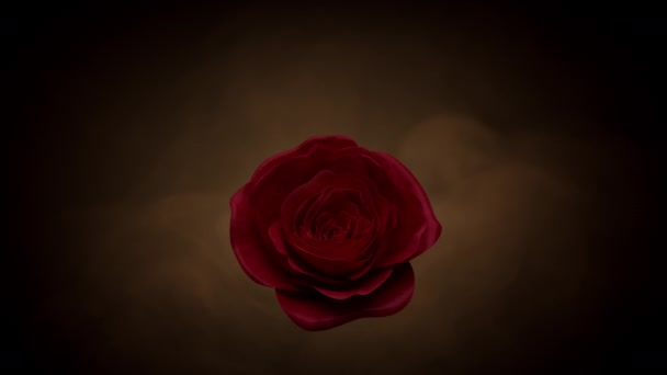 黒い背景に燃えるようなバラの花 愛の感情の概念 スローモーション3Dレンダリング — ストック動画