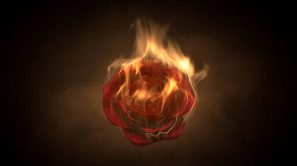 Flaming Rose Flower Black Background Love Feeling Concept Rendering — Stock Photo, Image