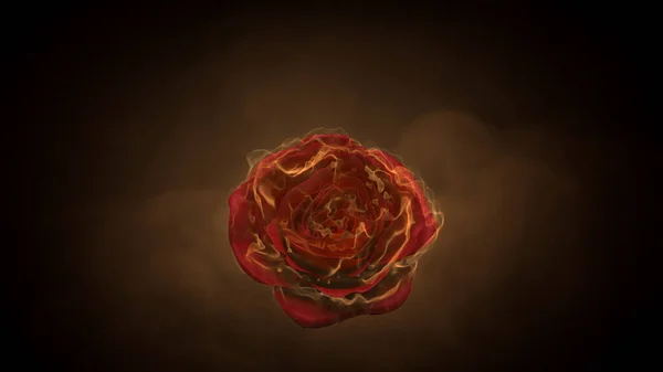 Flaming Rose Flower Black Background Love Feeling Concept Rendering — Stock Photo, Image