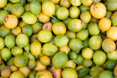 Fırtınalar yüzünden yerde bir limon var ve bu yenmez. Tarım için ekonomik kayıplar