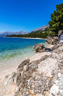 Kayalık sahil-Makarska Riviera, Dalmaçya, Hırvatistan