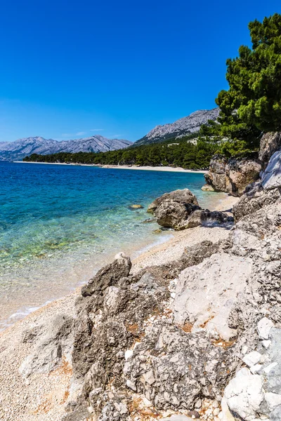 Rocky Seashore-Makarska Riviera, Dalmatia, Croatia — Stock Photo, Image