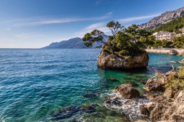 Kayalık sahil-Makarska Riviera, Dalmaçya, Hırvatistan