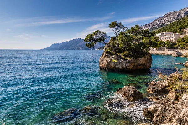 Kayalık sahil-Makarska Riviera, Dalmaçya, Hırvatistan — Stok fotoğraf