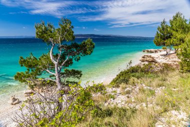 Kıyı şeridi Makarska Riviera - Makarska, Hırvatistan
