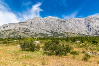 Biokovo Dağı ve ağaçlar-Makarska, Hırvatistan
