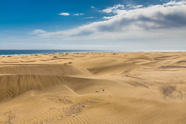 Maspalomas sanddyner-Gran Canaria, Kanarieöarna, Spanien — Stockfoto