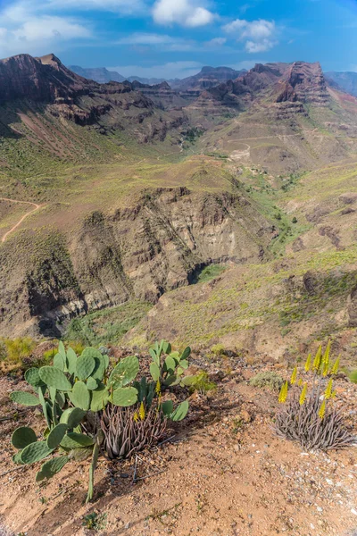 Mirador Degollada de las Yeguas - Gran Canaria — Foto de Stock