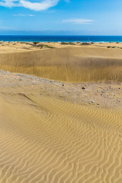 Maspalomas sanddyner-Gran Canaria, Kanarieöarna, Spanien — Stockfoto