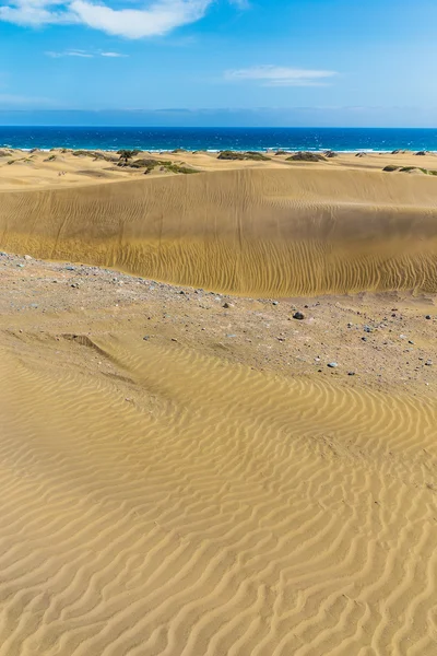 Maspalomas Dünen-Gran Canaria, Kanarische Inseln, Spanien — Stockfoto