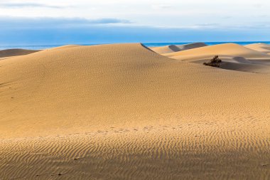Maspalomas Dunes-Gran Canaria, Kanarya Adaları, İspanya