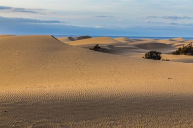 Maspalomas Dunes-Gran Canaria, Kanarya Adaları, İspanya