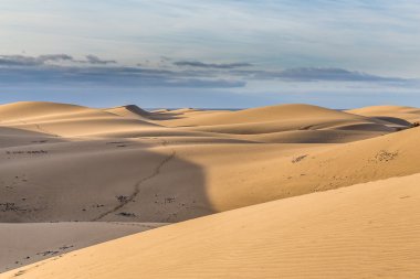 Maspalomas Dunes-Gran Canaria, Kanarya Adaları, İspanya
