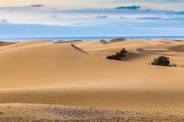 Maspalomas sanddyner-Gran Canaria, Kanarieöarna, Spanien — Stockfoto