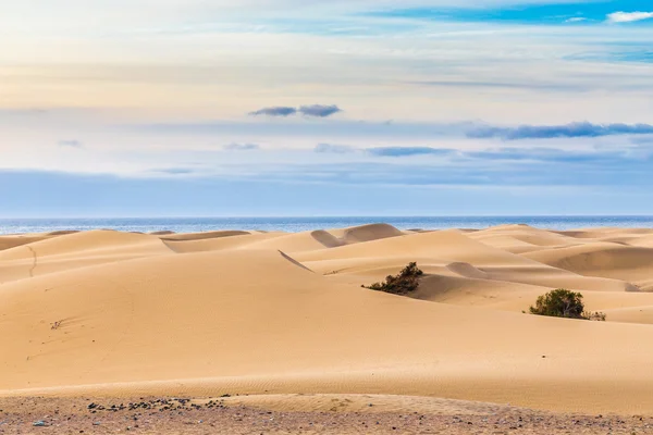 Wydmy Maspalomas-Gran Canaria, Wyspy Kanaryjskie, Hiszpania — Zdjęcie stockowe