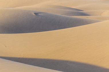 Maspalomas Dunes-Kanarya Adaları, İspanya'nın soyut detay