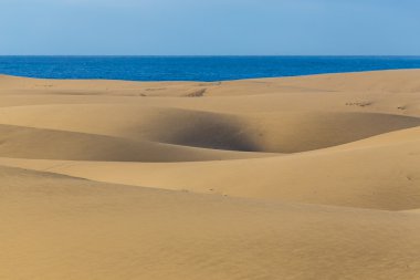Maspalomas Dunes-Gran Canaria, Kanarya Adaları, İspanya