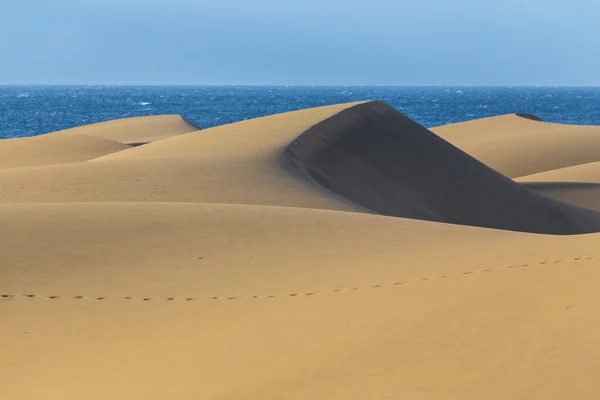 Maspalomas sanddyner-Gran Canaria, Kanarieöarna, Spanien — Stockfoto