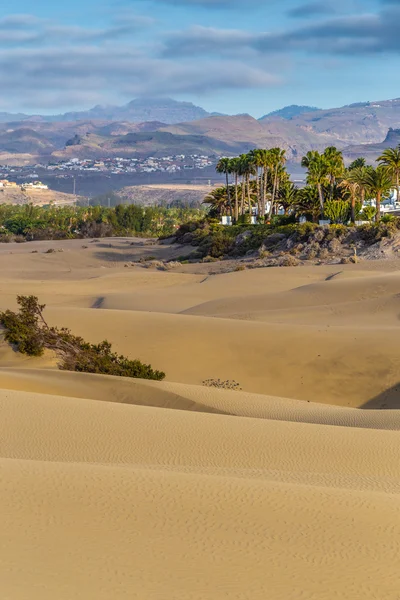 Duny Maspalomas-Gran Canaria, Kanárské ostrovy, Španělsko — Stock fotografie